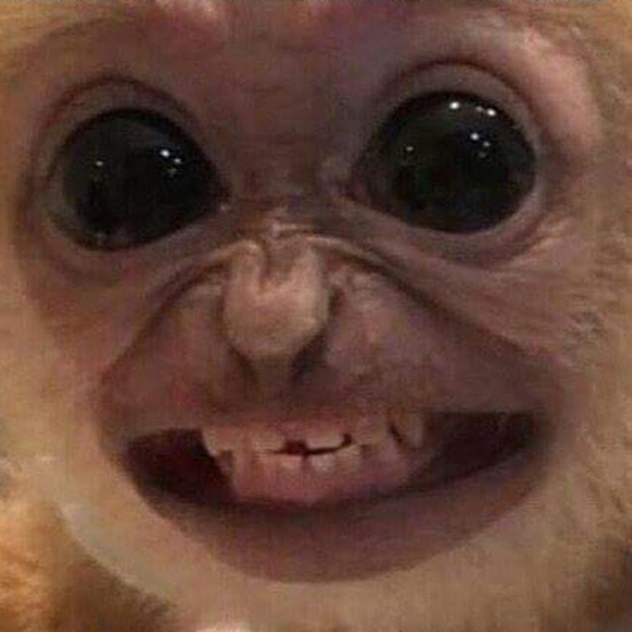 Meet your Posher, Ben - Picture 1 of 1